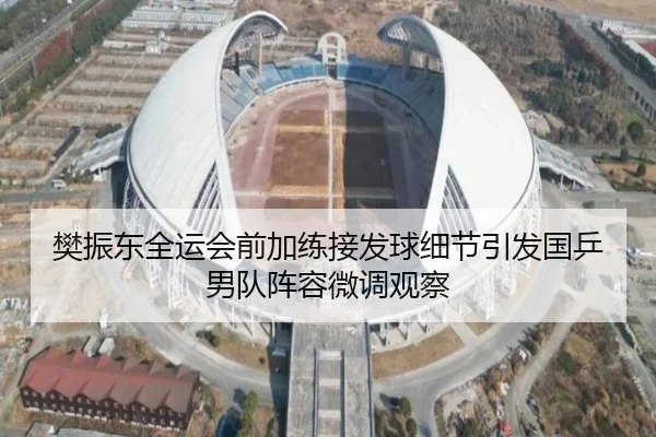 樊振东全运会前加练接发球细节引发国乒男队阵容微调观察